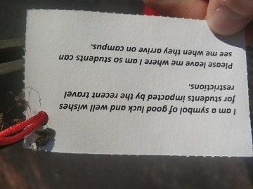 5e7c6e5a56df7.jpg 11.jpg