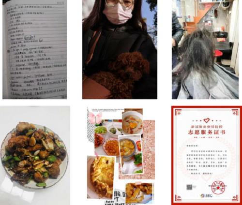 5eba49118a2e0.png 6-2.png