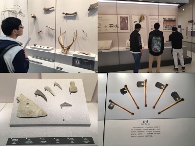 5dc921383de10.jpg 2.jpg