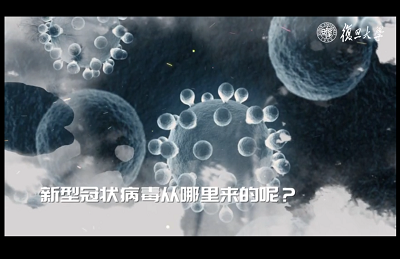 5ea581d6e0cdb.png 3.png